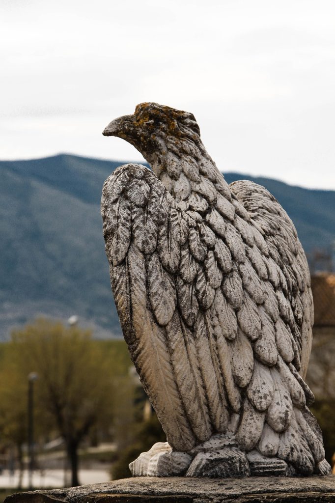 eagle, mountains, kyrgyzstan