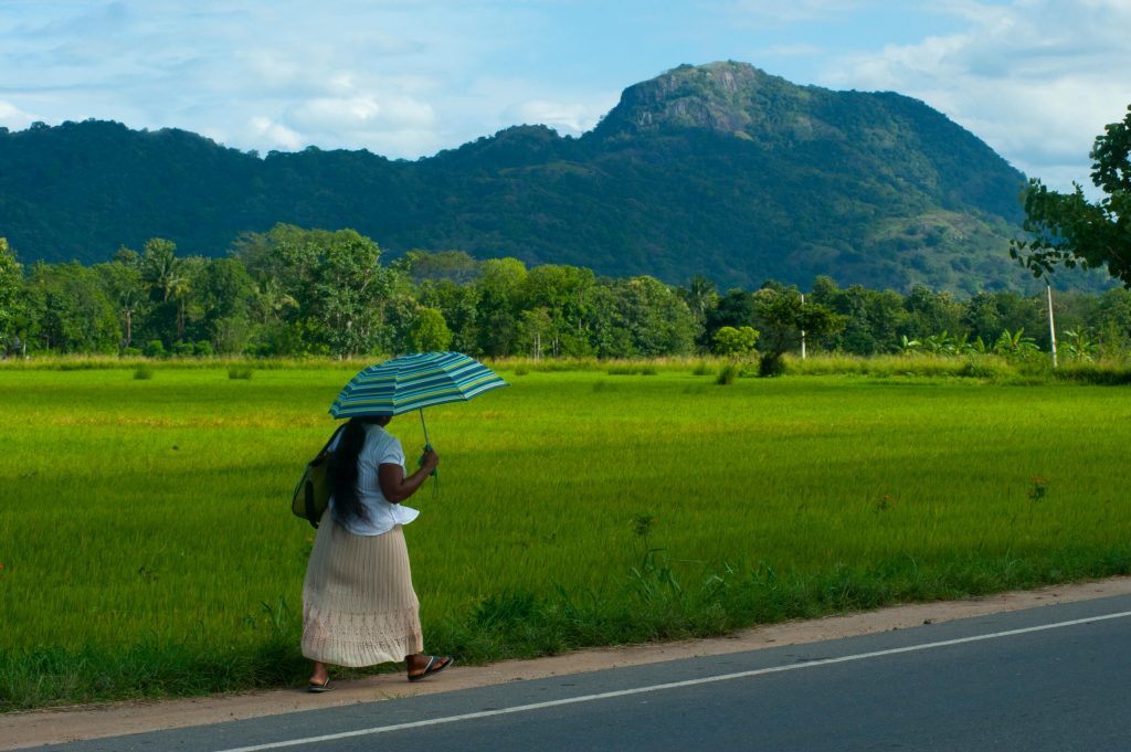 sri lanka nature