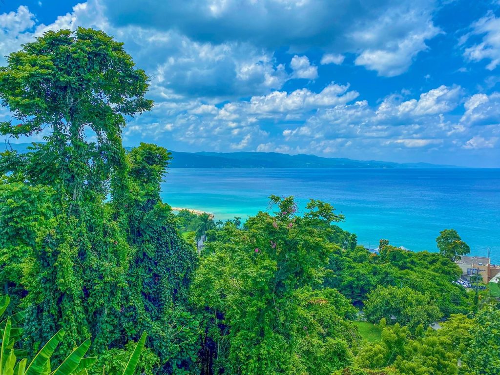 Jamaican beech random city